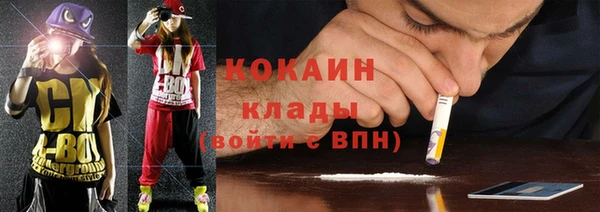 стафф Алексин