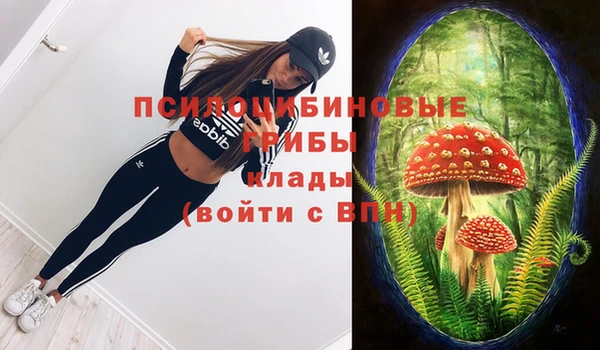 круглые Арсеньев