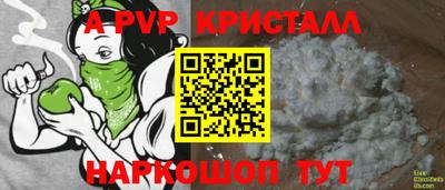 спиды Гусев
