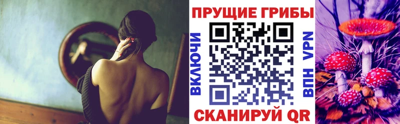 ОМГ ОМГ tor  Лесосибирск  Псилоцибиновые грибы Magic Shrooms 