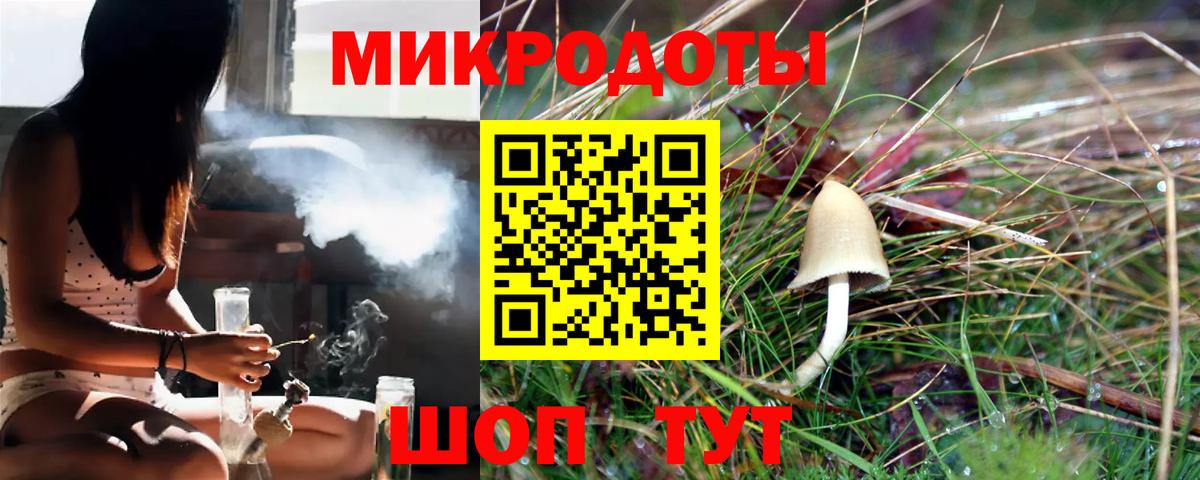 Псилоцибиновые грибы мухоморы Лесосибирск
