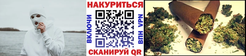 Канабис план  купить закладку  Лесосибирск 